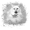 wildcat,lynx,white,graffiti,painting,cat