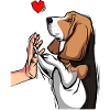 Basset Hound