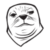 Cute Seal
