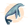 Cute Seal