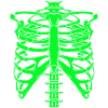 Halloween Skeleton