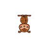 Schlafende Eule