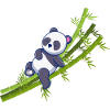 Panda chilling