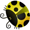 Yellow Spotted Ladybug