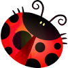 Red Ladybug
