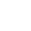 Future Lioness