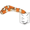 Snake in chest pocket