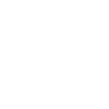 The Trainer