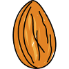 Nutty Almond Doodle