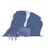 Skunk Squad