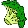 Green Broccoli Doodle