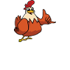 My Chicken Thinks Im Cool