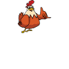 I just really like chickens