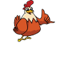 I'm really addicted to chicken