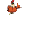 Real Men Marry Chicken Girls