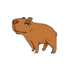 Capybara Capybara Cadeau