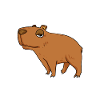 Capybara Wasserschwein