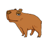 Capybara Wasserschwein
