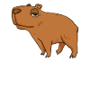 Capybara Wasserschwein