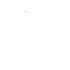 Emergency - Analphylactic shock