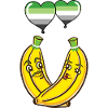 Couple Banana Aromantic Pride