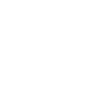 Roller Coaster Addict