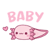 Mignon Axolotl Bébé Larve