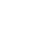 Roller Coaster Fanatic