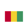 Drapeau de guinée Disant