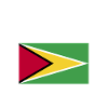 Drapeau du Guyana