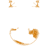 Steam Train Driver Trainspotting