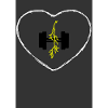Sport Lightning