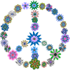 Flower Power Peace Fleurs