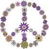 Flower Power Peace Flowers