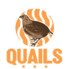 Easily distracted by Quails