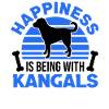 Kangal Glücklich Anatolian Shepherd Dog