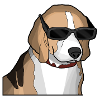 the COOL dog