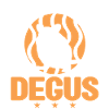 Easily distracted by Degus