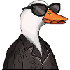 the COOL duck