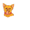 Chihuahua Dog