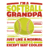 Softball Sport Softball Player