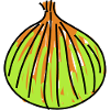 Onion Doodle