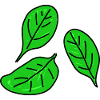 Spinach Doodle