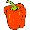 Red Bell Pepper Doodle