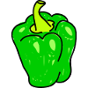 Green Bell Pepper Doodle