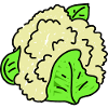 Cauliflower Doodle