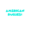 American Bullies