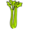 Celery Doodle