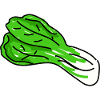 Pak Choi Doodle