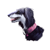 Saluki Dog Aquarelle Peinture Illustration
